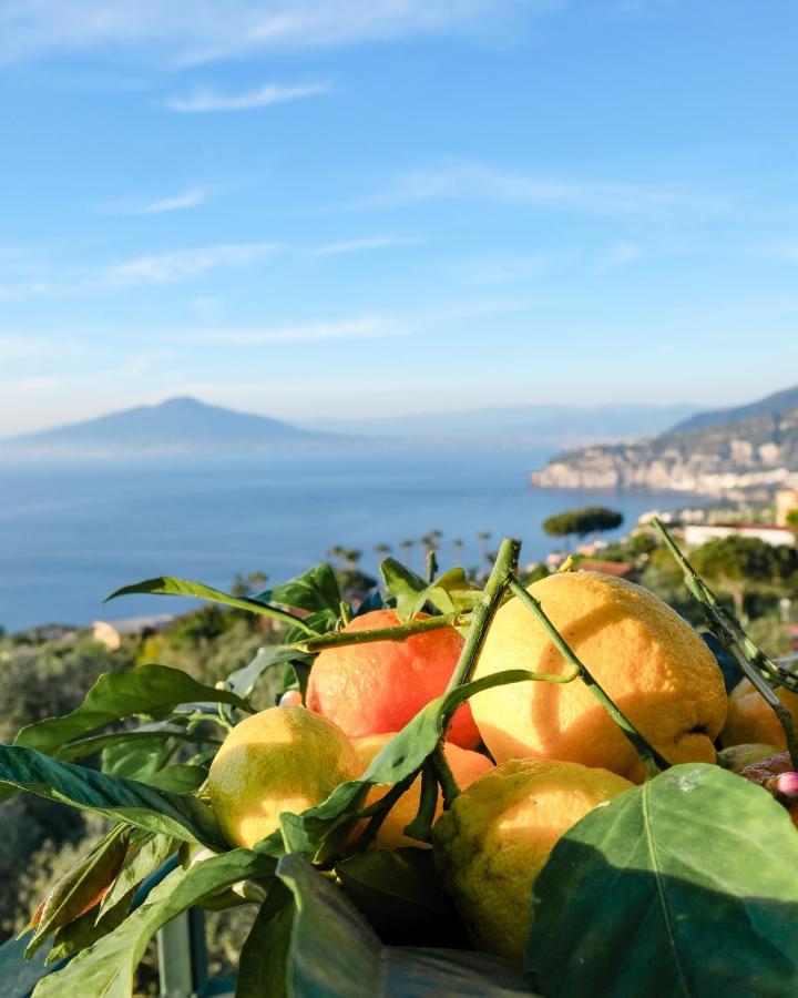 Sorrento Hills Panzió Kültér fotó